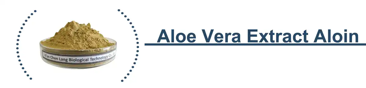 Bacopa Monnieri Extract .jpg